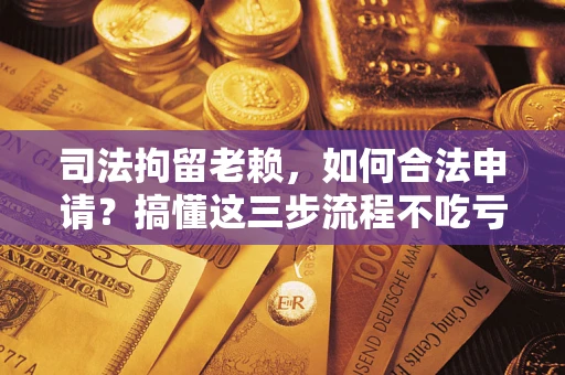 北京司法拘留老赖，如何合法申请？搞懂这三步流程不吃亏！