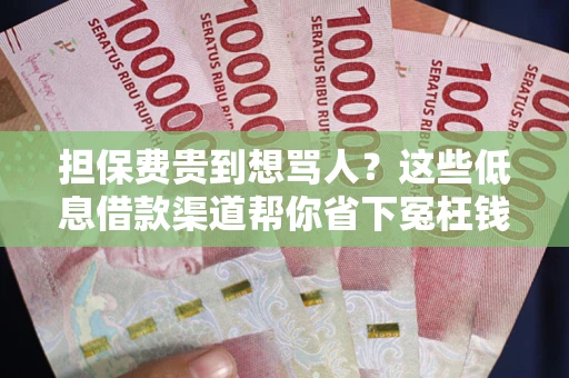 北京担保费贵到想骂人？这些低息借款渠道帮你省下冤枉钱