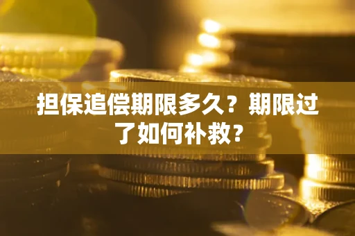 北京担保追偿期限多久？期限过了如何补救？