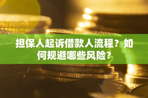 北京担保人起诉借款人流程？如何规避哪些风险？