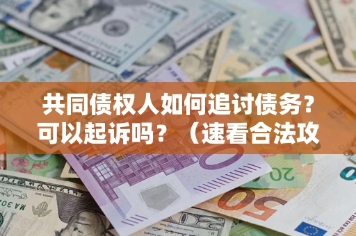 北京共同债权人如何追讨债务？可以起诉吗？（速看合法攻略）