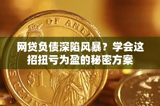 北京网贷负债深陷风暴？学会这招扭亏为盈的秘密方案