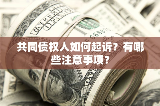 北京共同债权人如何起诉？有哪些注意事项？